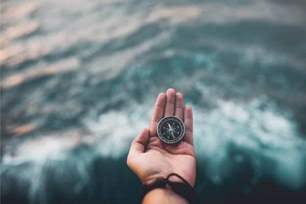 Basic Navigation